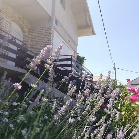 Apartment Marija